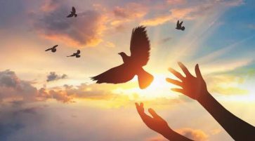 必須暗自努力，才能稱心如意